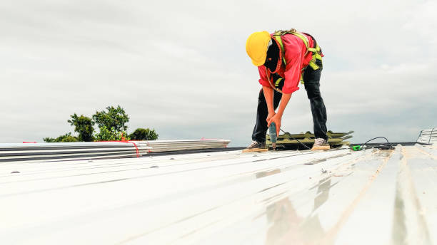 Best Rubber Roofing (EPDM, TPO)  in Upper Ack, NY